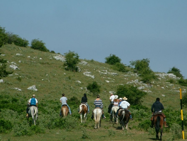  Trekking zu Pferd